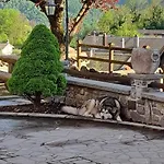 Cjase Cumine * 라우코