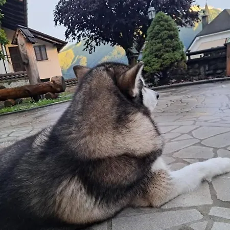 Cjase Cumine * Lauco