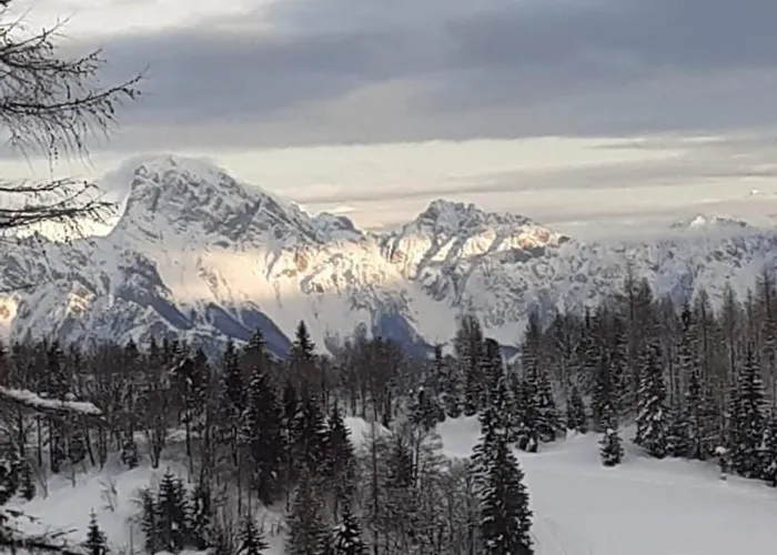 Cjase Cumine * Lauco