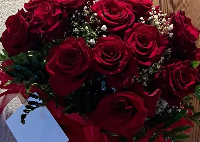 Cjase Cumine * Lauco