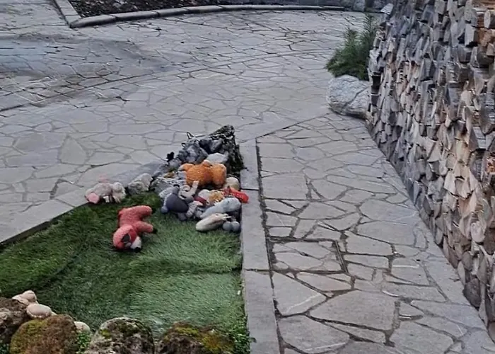 Cjase Cumine Nocleg ze śniadaniem *