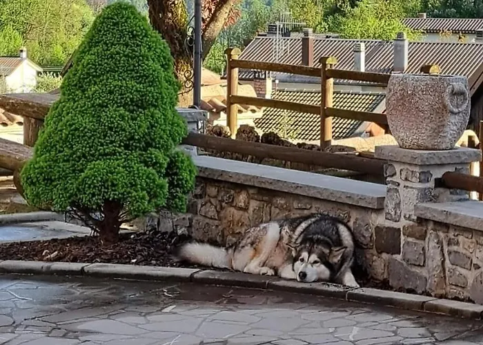 Cjase Cumine * Lauco