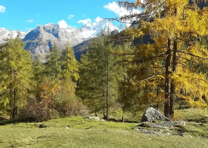 Panzió Cjase Cumine Lauco